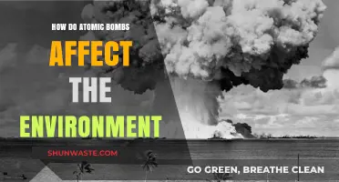 Atomic Bombs' Environmental Impact: Devastation, Radiation, and Long-Term Consequences