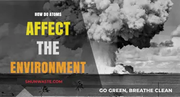 Atomic Impact: How Atoms Shape Our Environment and Ecosystems