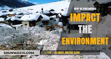 Avalanche Effects: Environmental Impacts and Ecosystem Disruptions Explained