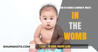 How Do Babies Eliminate Waste in the Womb? Explained
