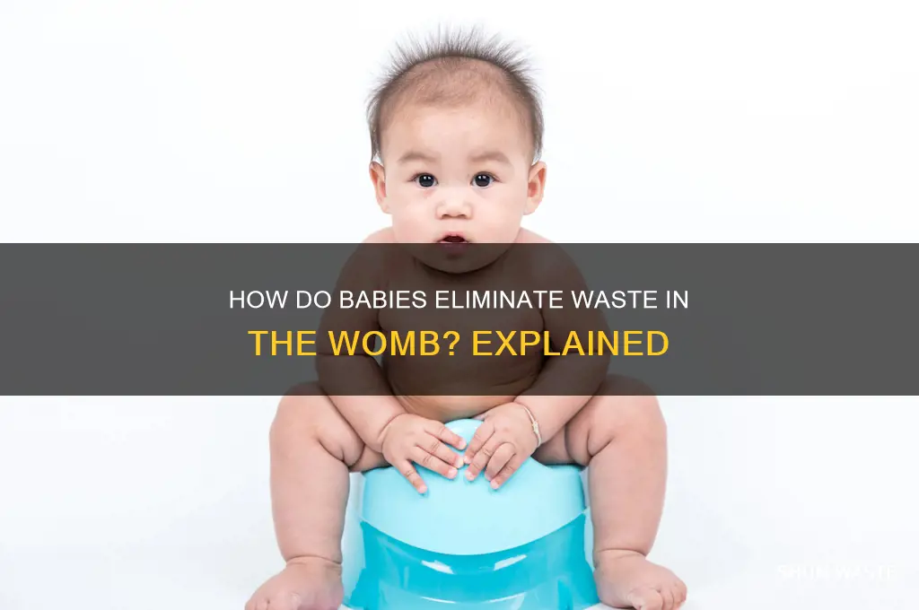 how do babies eliminate waste in the womb