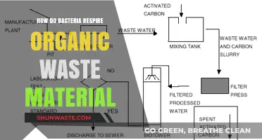 Bacterial Respiration: Breaking Down Organic Waste for Energy and Nutrients