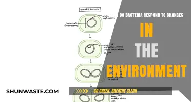 Bacterial Survival Strategies: Adapting to Environmental Changes and Challenges