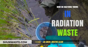 Surviving the Unseen: Bacteria's Resilience in Radioactive Environments