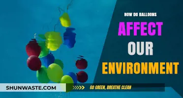 Balloons' Environmental Impact: Uncovering Their Hidden Ecological Footprint