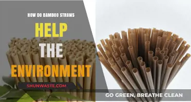 Eco-Friendly Sipping: Bamboo Straws' Positive Impact on Our Planet