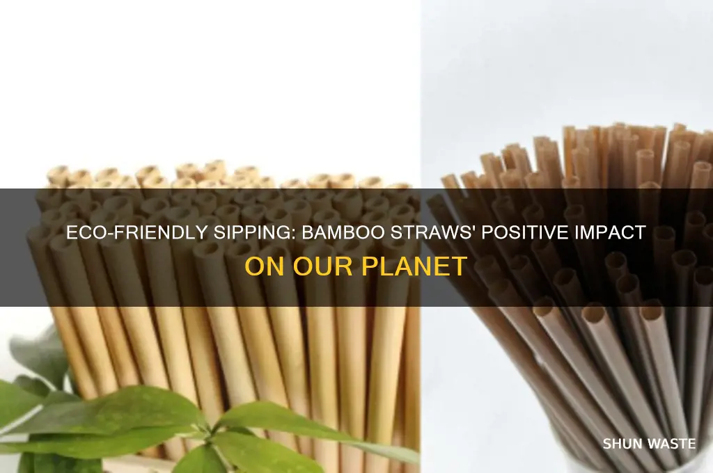 how do bamboo straws help the environment
