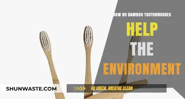 Eco-Friendly Smiles: Bamboo Toothbrushes' Impact on a Greener Planet