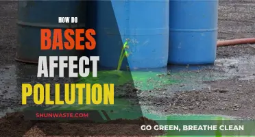 Bases' Impact on Pollution: Understanding the Chemistry