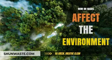 Environmental Impact of Bases: Understanding Their Effects on Ecosystems