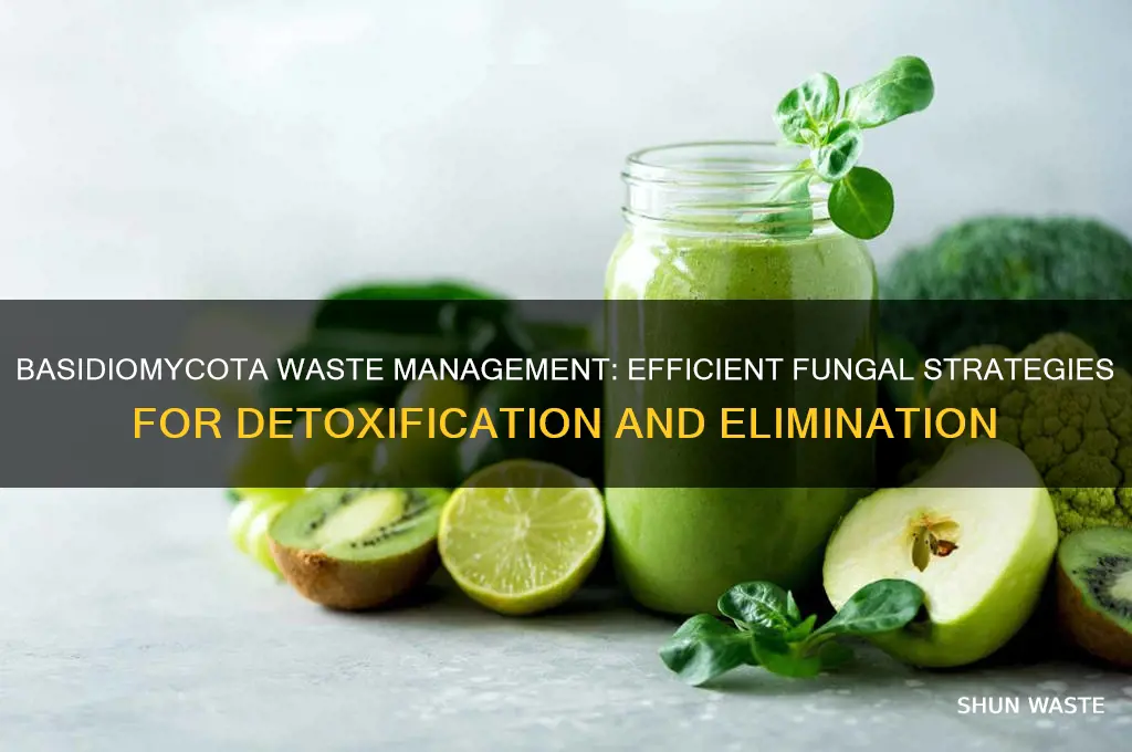 how do basidiomycota get rid of waste