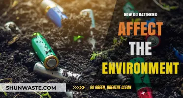 Environmental Impact of Batteries: Recycling, Disposal, and Sustainability Challenges