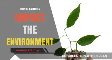 Environmental Impact of Batteries: Recycling, Disposal, and Sustainability Challenges