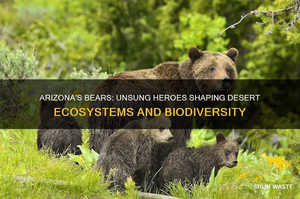 how do bears help their environment in arizona