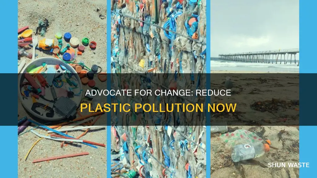 how do become advocate for reducing plastic pollution