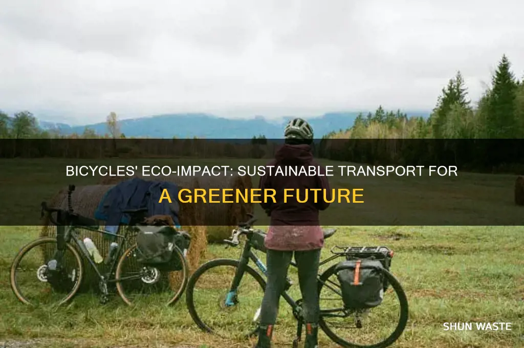 how do bicycles affect the environment