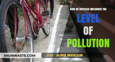 Bicycles: Reducing Pollution, Improving Our Health