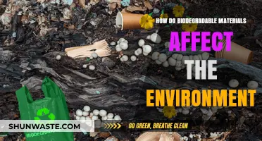 Biodegradable Materials: Environmental Impact and Sustainable Solutions Explored