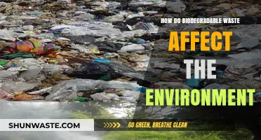 Biodegradable Waste's Environmental Impact: Benefits, Challenges, and Sustainable Solutions