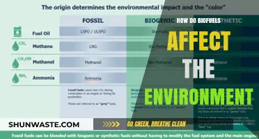 Biofuels' Environmental Impact: Benefits, Drawbacks, and Sustainability Challenges