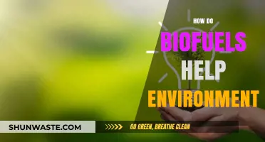 Biofuels: A Sustainable Solution for Reducing Carbon Emissions and Pollution