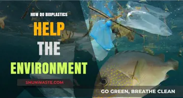 Bioplastics: Sustainable Solutions for Reducing Environmental Pollution and Waste