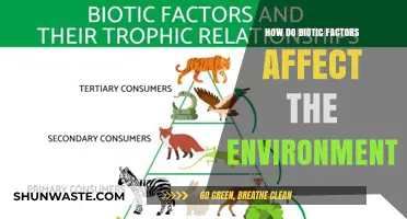 Biotic Factors: Their Impact and Role in Shaping Ecosystems