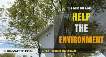 Bird Boxes: Eco-Friendly Havens Boosting Biodiversity and Ecosystem Health