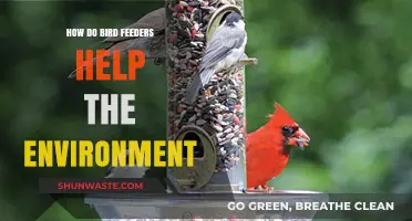 Bird Feeders: Nurturing Wildlife and Boosting Ecosystem Health Naturally