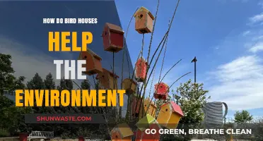 Bird Houses: Eco-Friendly Havens Boosting Biodiversity and Ecosystem Health