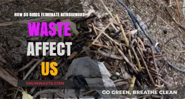 Bird Nitrogen Waste: Its Impact on Ecosystems and Human Health