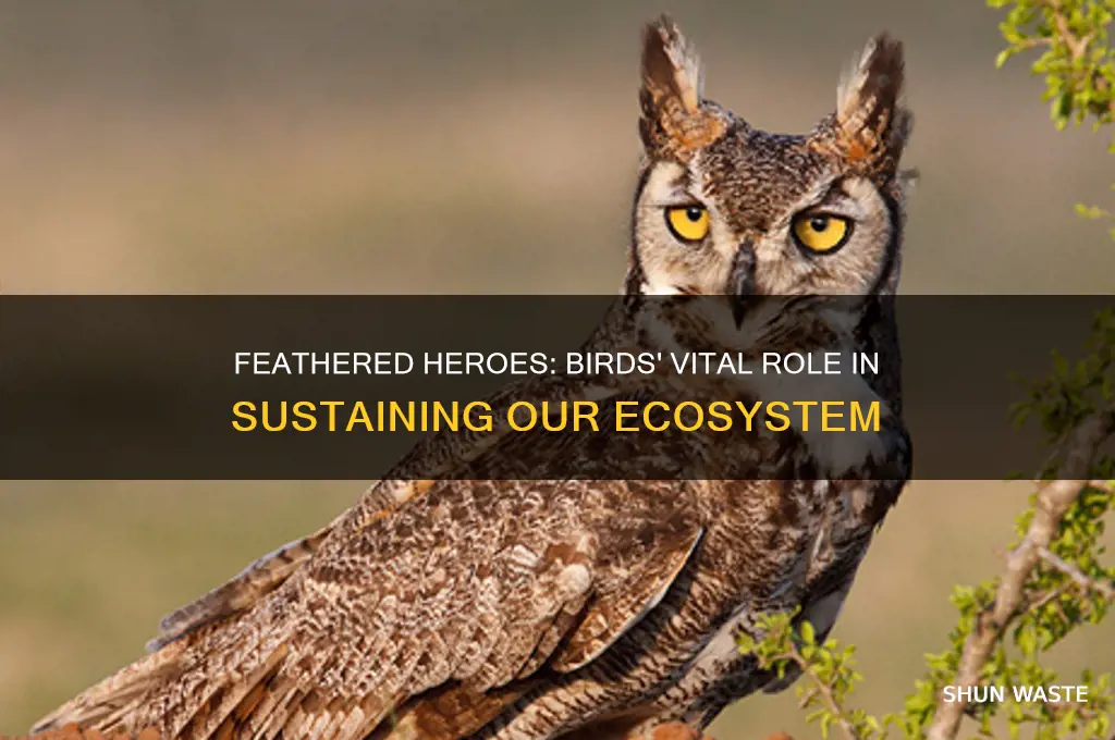 how do birds help our environment