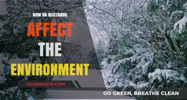 Blizzards' Environmental Impact: Snowstorms' Effects on Ecosystems and Landscapes