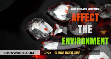 Blood Diamonds' Environmental Impact: Destruction, Pollution, and Ecosystem Loss Explained