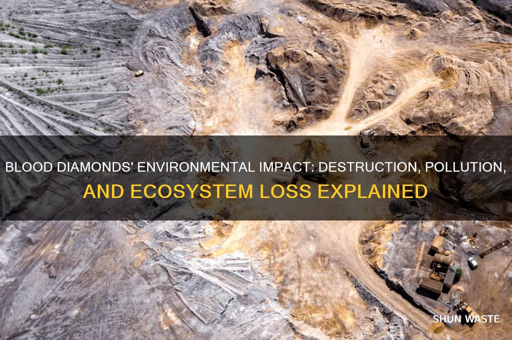 how do blood diamonds affect the environment