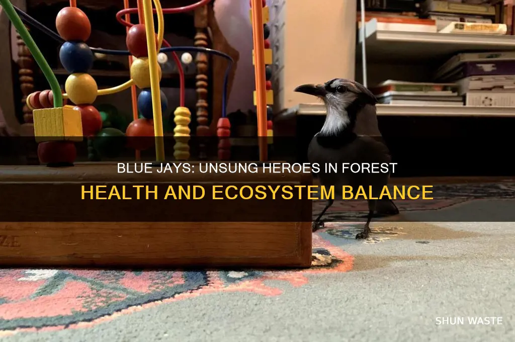 how do blue jays help the environment