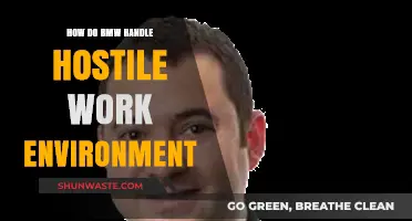 BMW's Approach to Addressing Hostile Work Environments: Strategies and Solutions