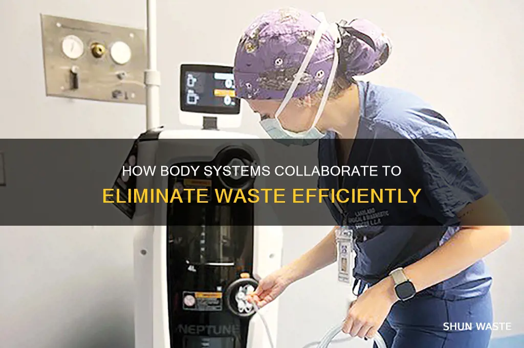 how do body systems work together to remove waste
