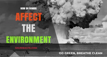 Explosive Impact: How Bombs Devastate Ecosystems and Pollute Our Planet