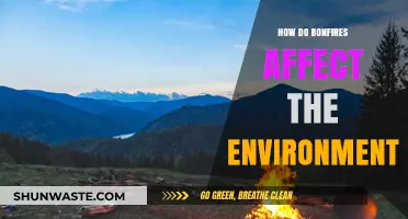 Bonfires' Environmental Impact: Air Quality, Wildlife, and Ecosystem Concerns Explored