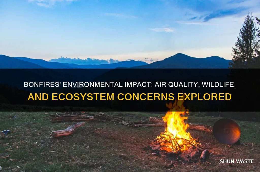 how do bonfires affect the environment
