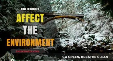 Bridges' Environmental Impact: Balancing Connectivity and Ecological Consequences