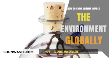 Brine Shrimp's Global Environmental Impact: Ecology, Economy, and Ecosystems