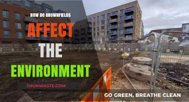 Brownfields' Environmental Impact: Pollution, Habitat Loss, and Remediation Challenges