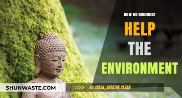 Buddhist Environmental Stewardship: Practices for a Sustainable and Compassionate World