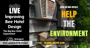 Bug Hotels: Boosting Biodiversity and Supporting a Healthier Ecosystem