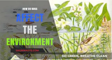 Bugs' Environmental Impact: Unseen Roles in Ecosystems and Biodiversity