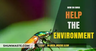 Bugs' Vital Role: How Insects Sustain and Protect Our Ecosystems