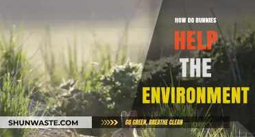 Hopping Heroes: How Bunnies Contribute to a Healthier Planet