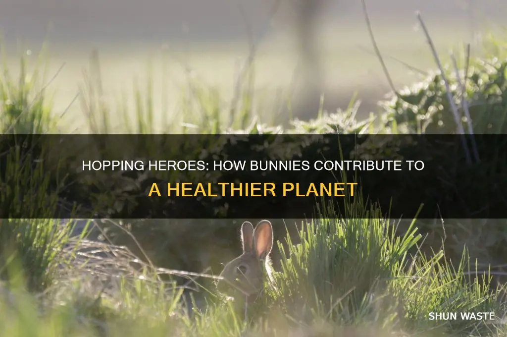 how do bunnies help the environment
